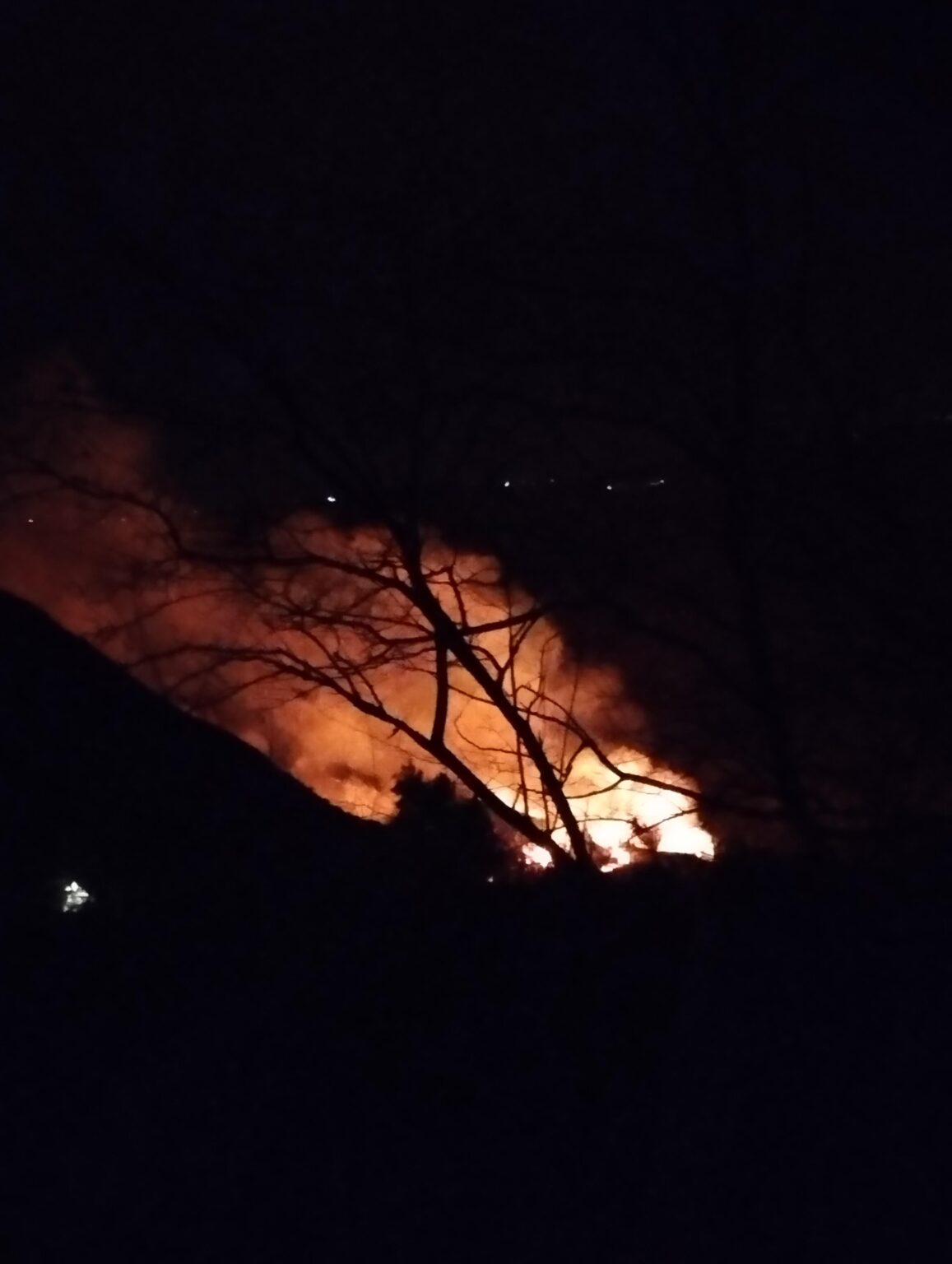 速報: アテッサで炎上