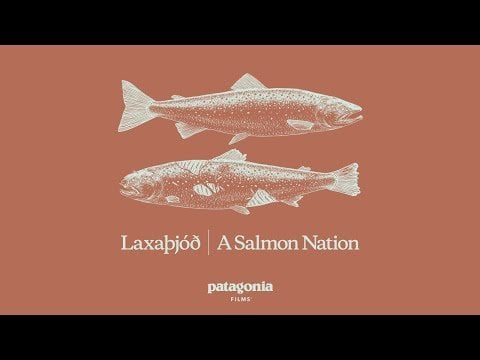 サーモンの国 | 鮭の国