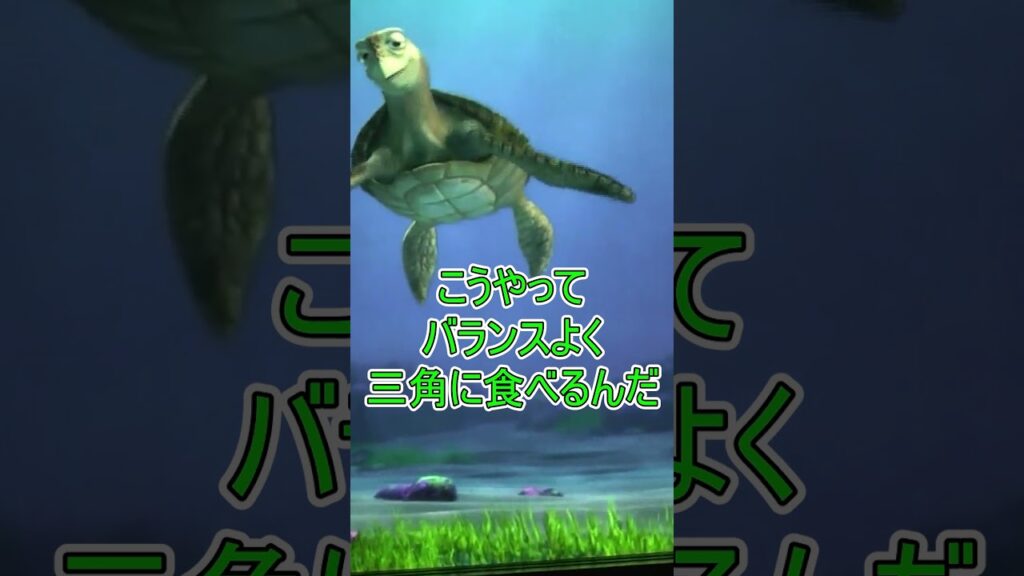 海藻食べて300kg目指せ【タートルトーク】東京ディズニーシー