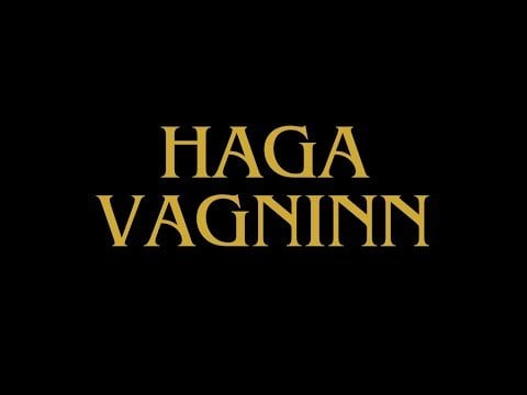 愛好家のための新しいハンバーガーの冒険、Hagavagninn。