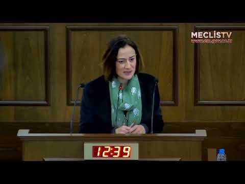 ドグス・デリヤ、クリストドゥリデス対策とクエヤル到着について演説