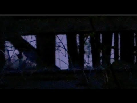 私のフィンランド人の友人は、数年前から自分の音楽をプロデュースしています。 本当にユニークでクリエイティブだと思うし、彼女はもっと評価されるべきだと思う。 彼女のこの曲をチェックしてください。
