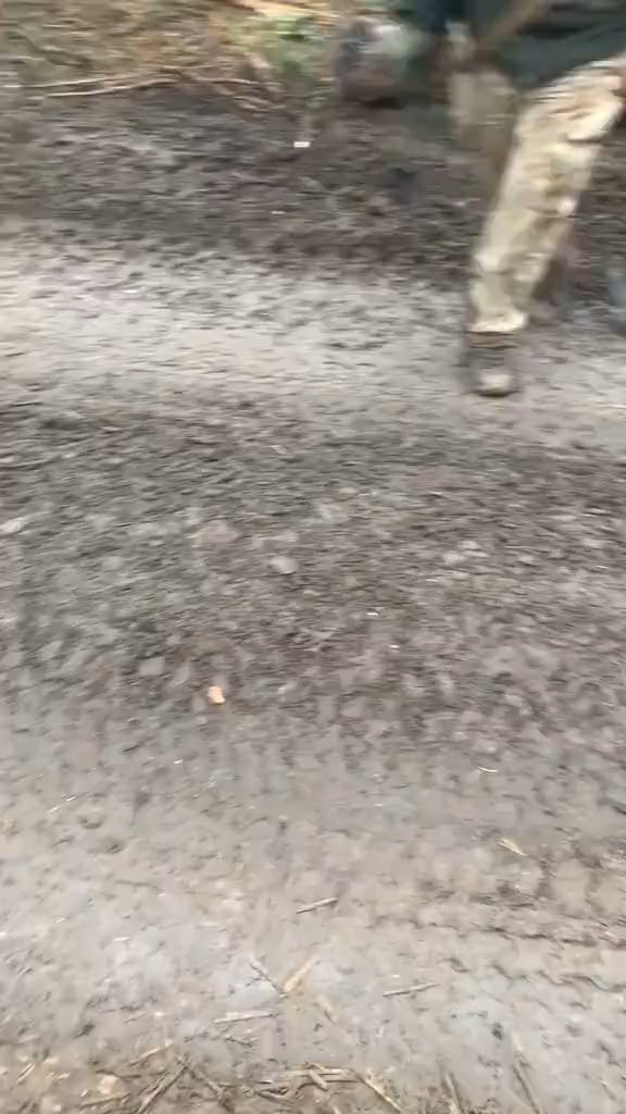 最前線のウクライナ兵士のペット