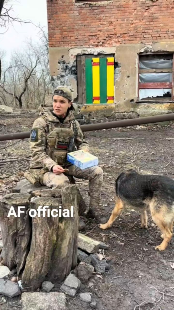 ウクライナの兵士が村の廃墟でお腹を空かせた犬にビスケットを与える。