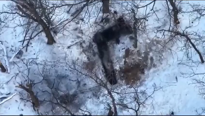 降伏中に、ロシアの兵士がなんとか手榴弾を取り出して投げましたが、爆発しませんでした。 その後、彼は殺害された。