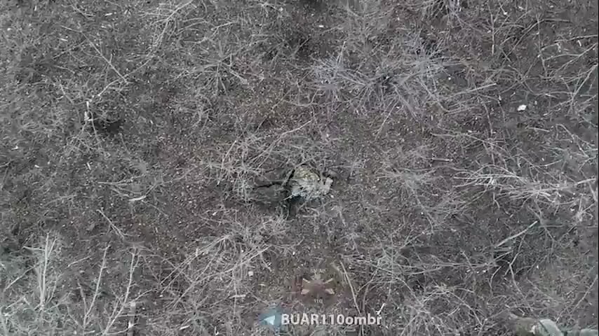 第110OMBRのウクライナ軍無人機がアヴディウカ周辺のロシア歩兵に手榴弾を投下。