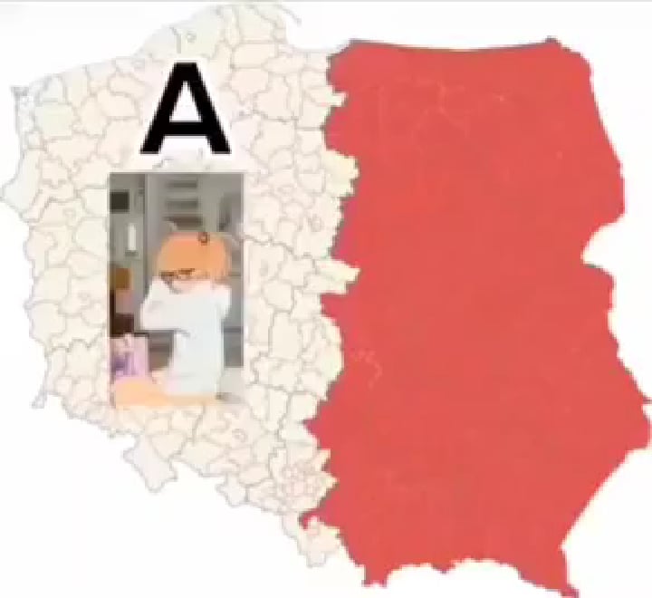 ポーランド A とポーランド B の違いの簡単な説明