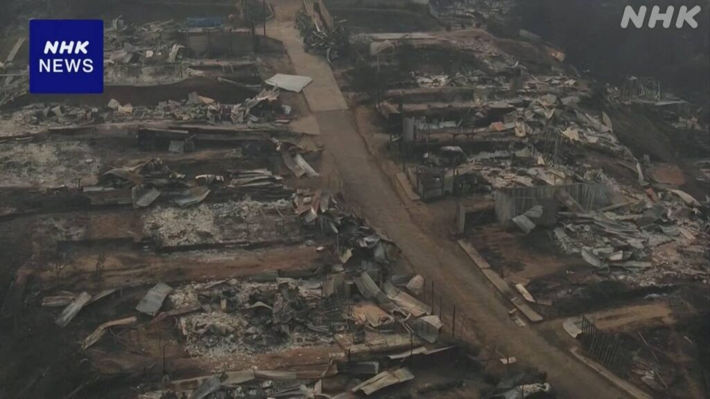 チリで大規模な山火事相次ぐ 少なくとも99人死亡
