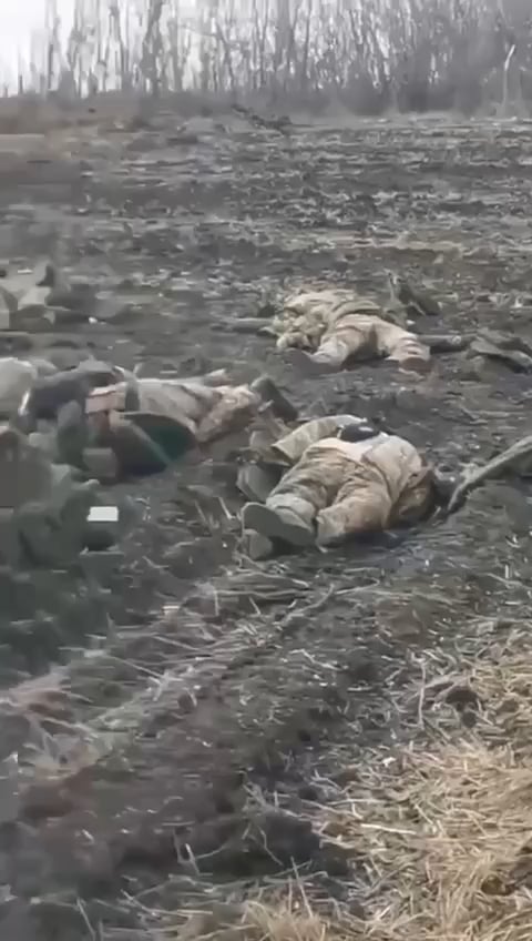 集中したロシア兵に対するクラスター弾攻撃の結果、ロシアの情報筋は65人が死亡したと主張している。