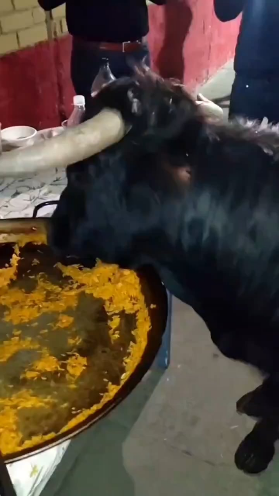 スペイン