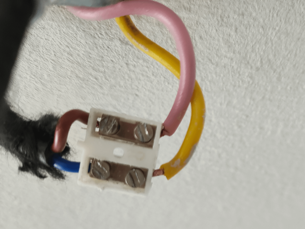 電線のお手伝い