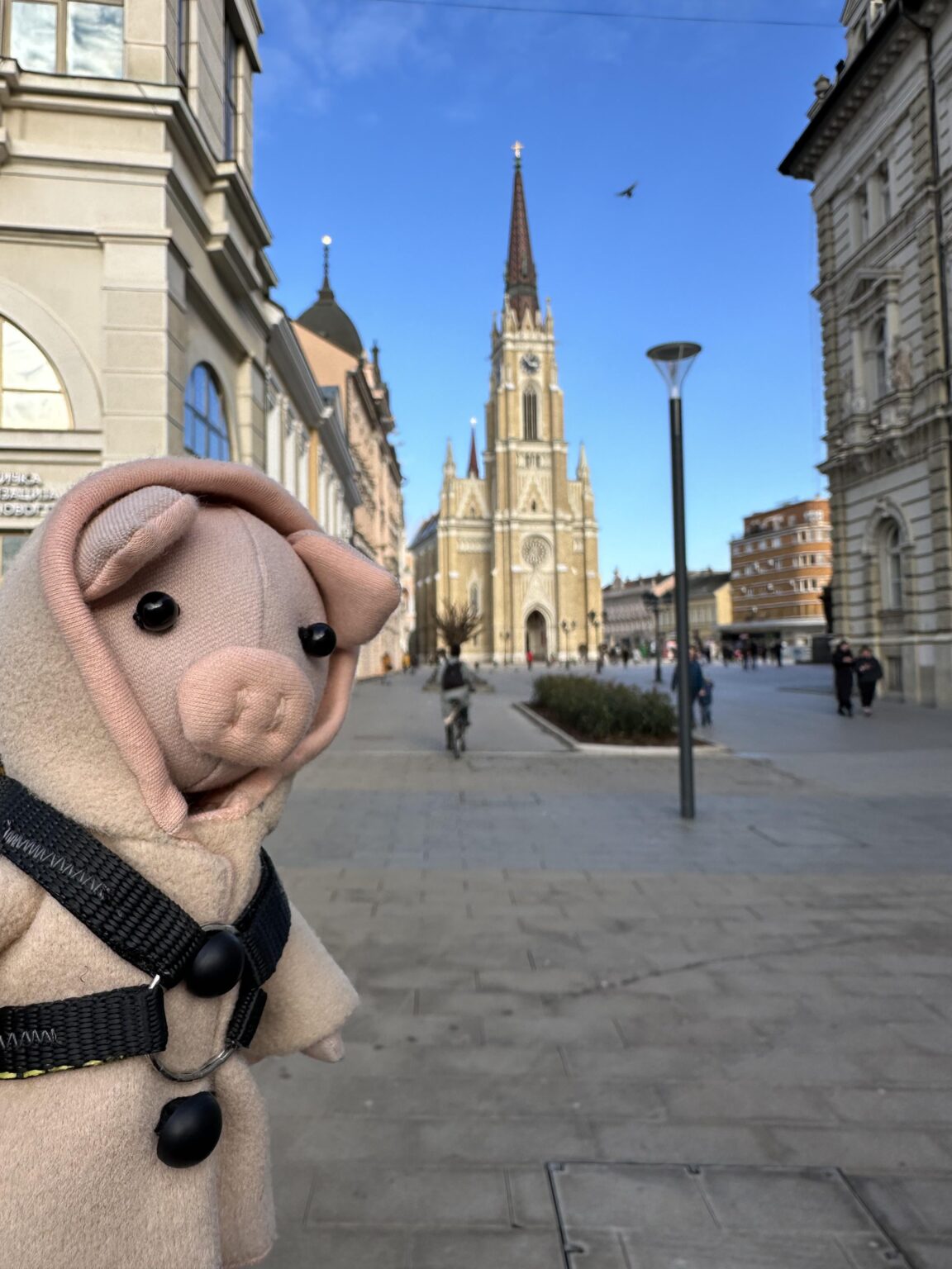 さまざまな人たちと一緒に世界中を旅するおもちゃのビスケットは、2 月 7 日にバルセロナに到着し、旅の仲間を探しています。