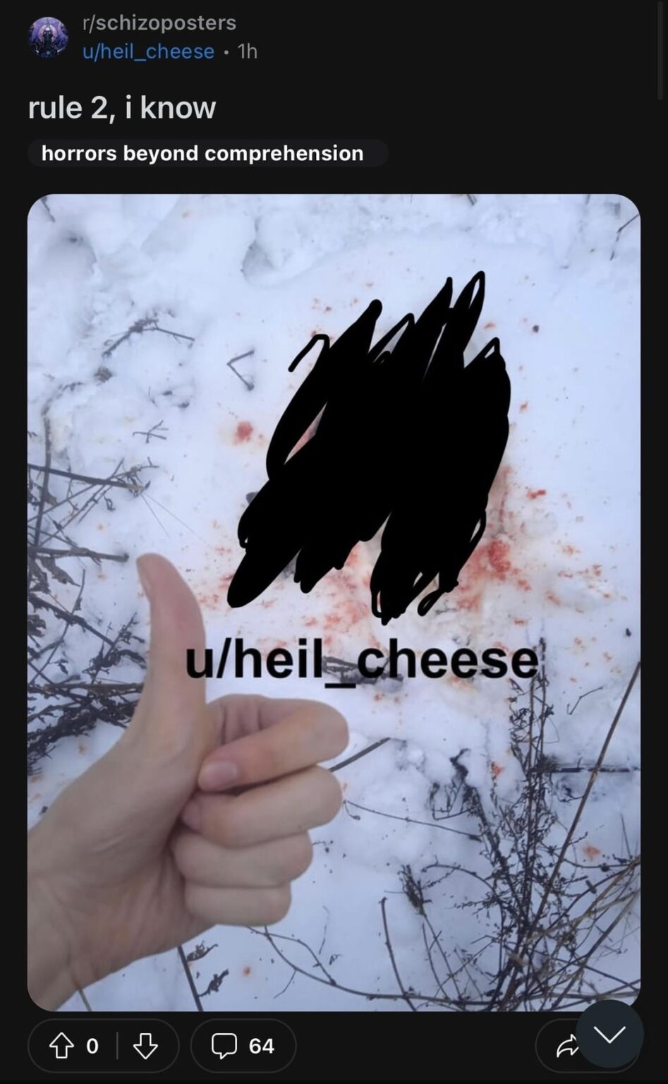 ラトビア人男性が殺した犬の写真をクソ投稿サブレディットに投稿
