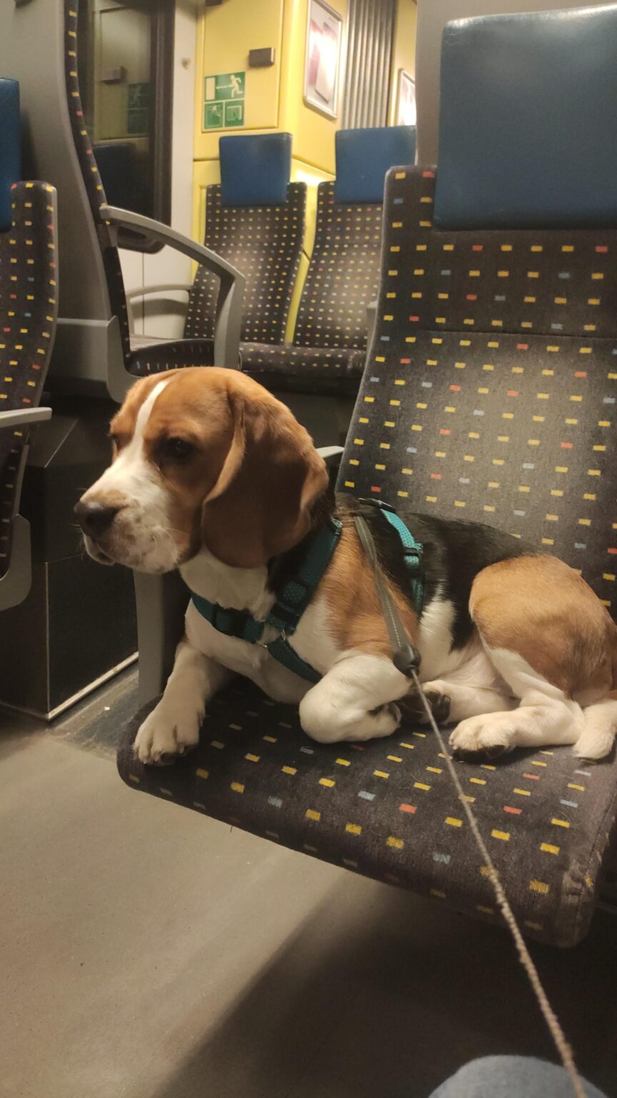 スイスの電車はいつもとても快適で、時間通りです。