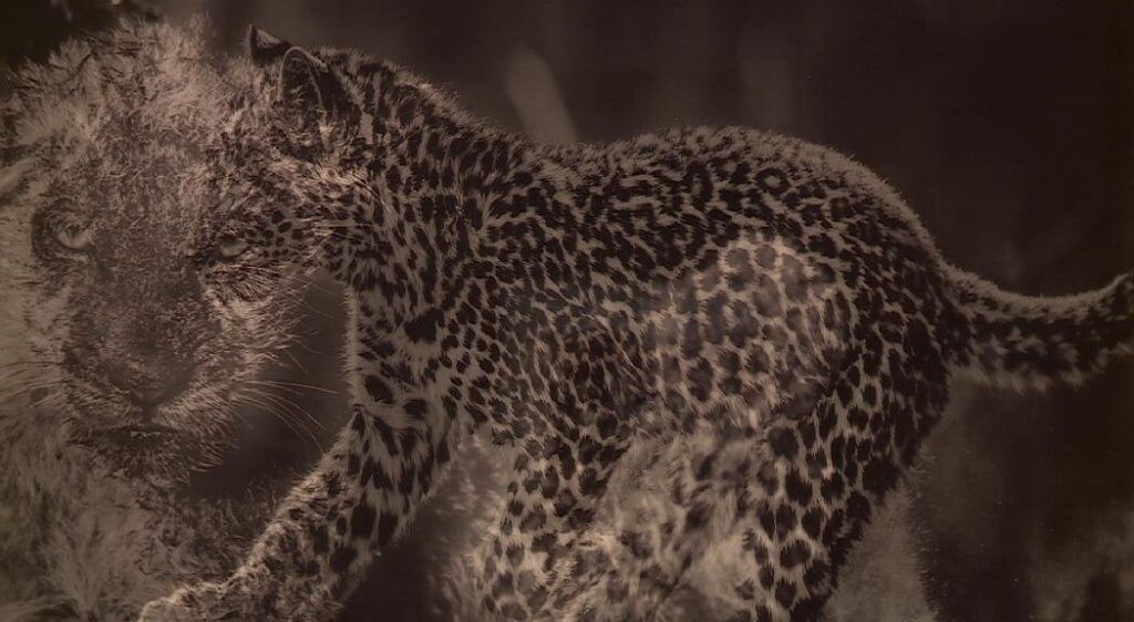 アラン・エルヌー著「第六次絶滅」で動物界がその消滅を非難