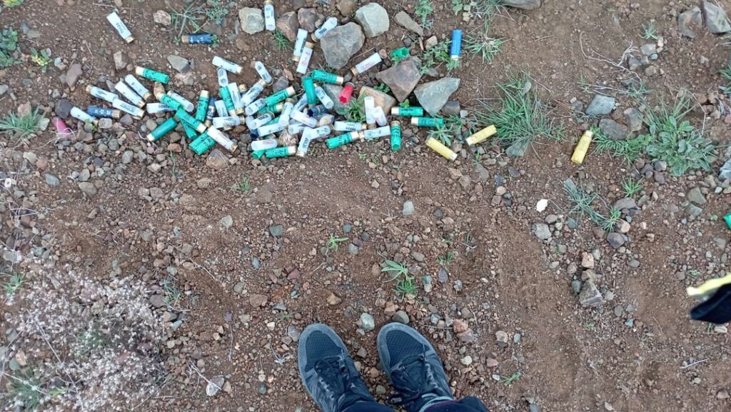 非狩猟区域で見つかった散弾銃の砲弾