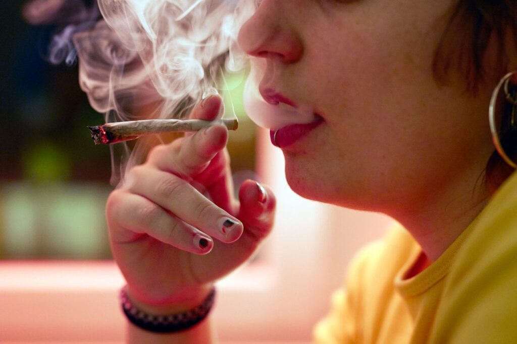 スイス最大の大麻研究がチューリッヒ州で始まる