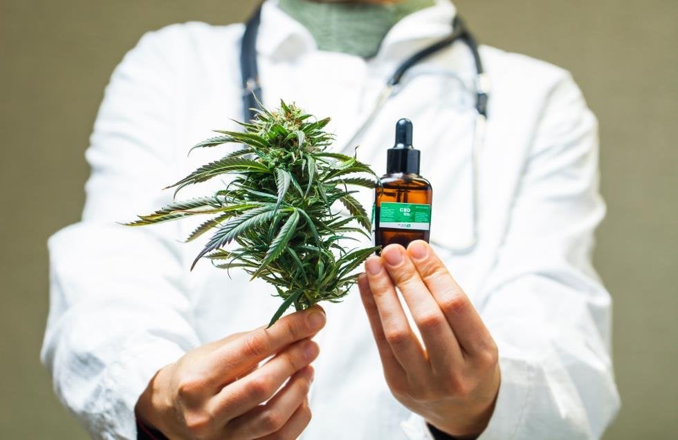 医療大麻を再び顕微鏡で観察 - 法律可決から 5 年後