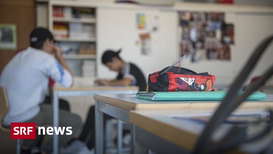 注目の小学校 - 教育研究者：「私たちには大きな問題がある」