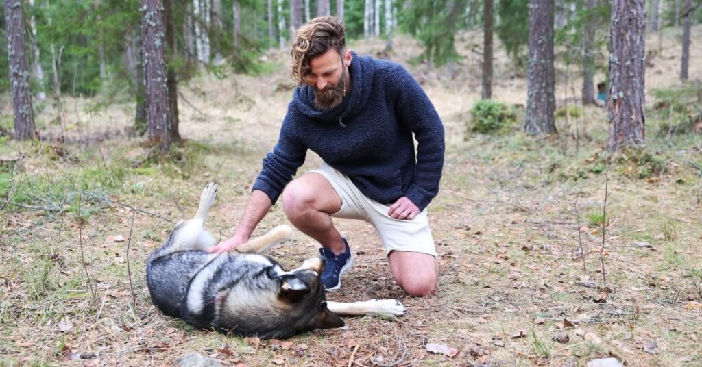 フィンランドで「最も嫌われている犬の飼い主」に罰金刑 | イールニュース