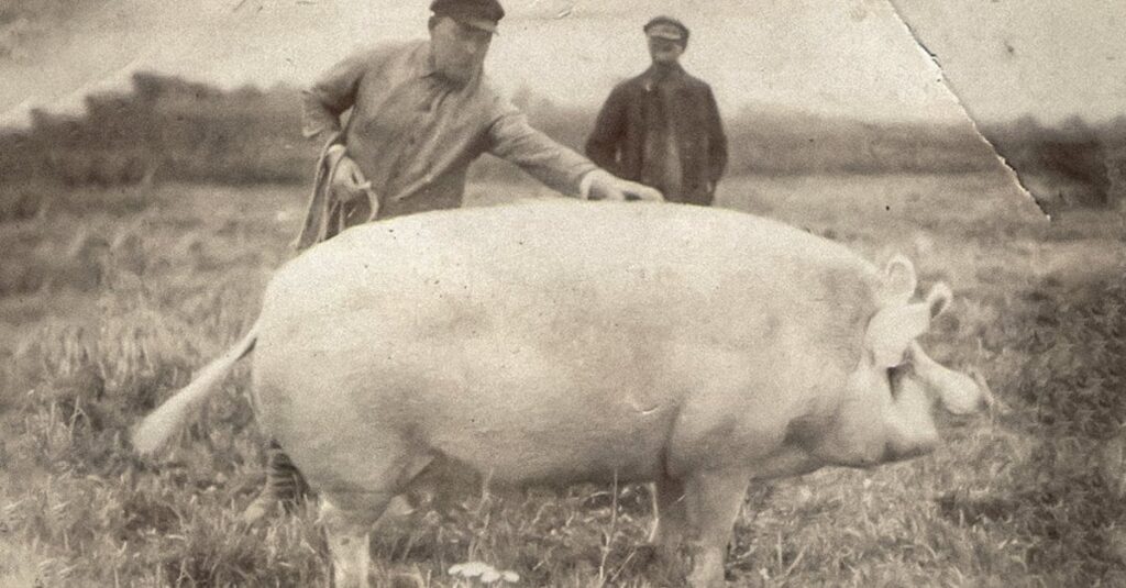 90年前のラトビアはどれほど裕福でしたか?