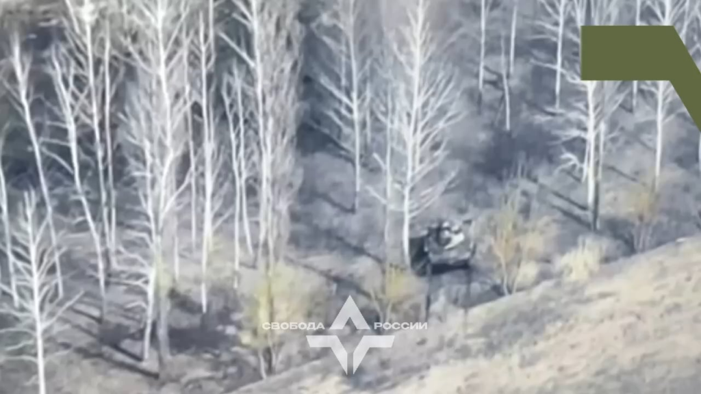 ロシア自由軍団は、軍団のドローン操作小隊がプーチン軍のBMD-22機を破壊する動画を公開した。