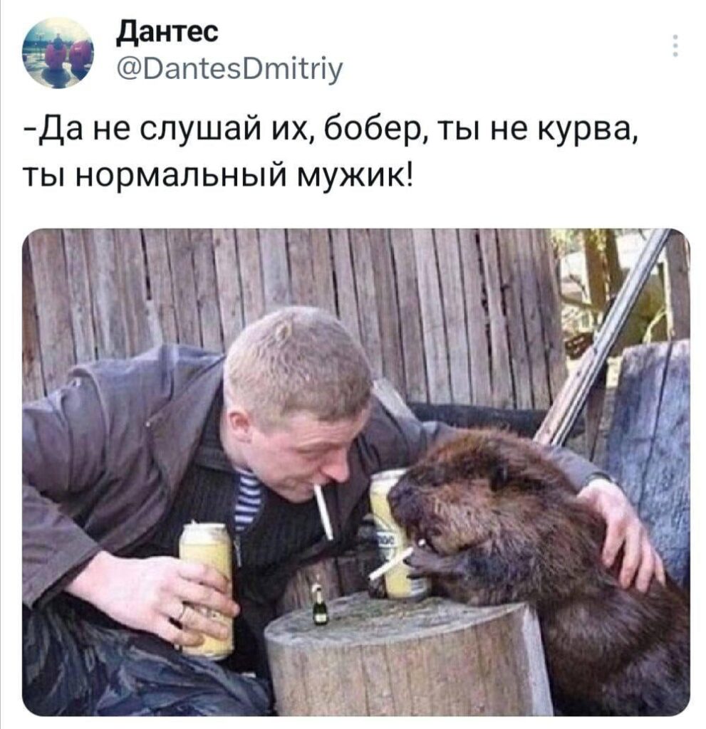太古の昔から、ロシアはビーバーのミームを愛してきました。 したがって：