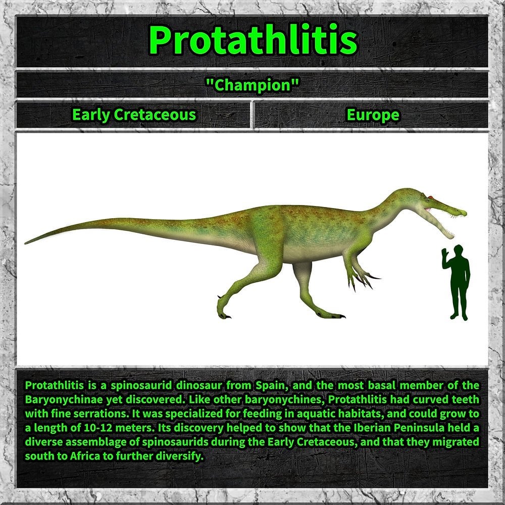 Protathlitis - スペインの恐竜