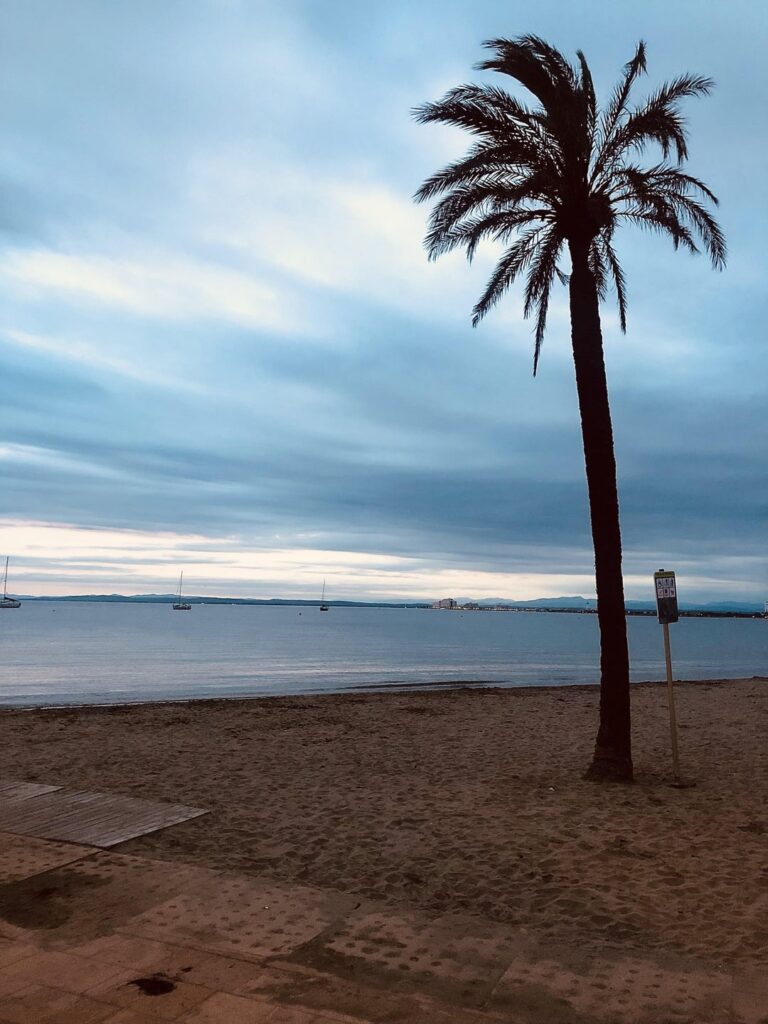 スペインのローゼズで休暇中。 とても美しい場所です。 この目的地を誰にでもお勧めします！