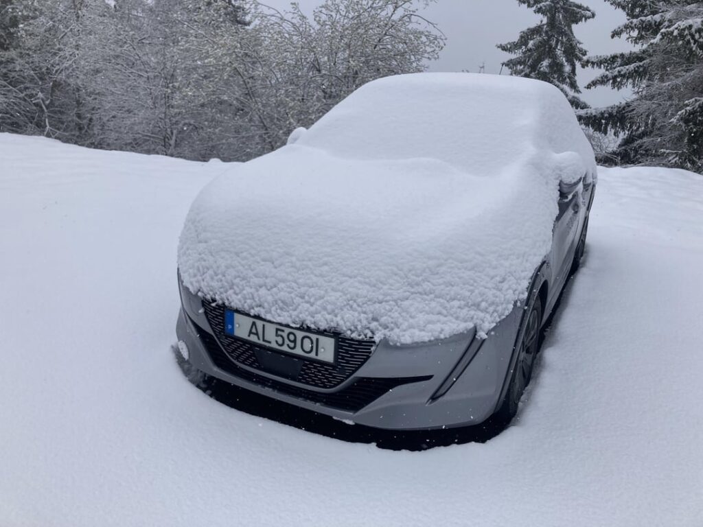 スイスのオーストラリア人へのフォローアップ投稿
