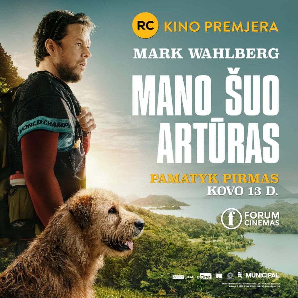 映画タイトルの翻訳 映画タイトルの翻訳