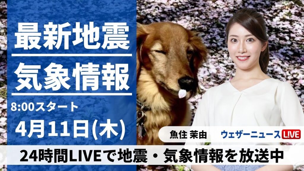 【LIVE】最新気象・地震情報 2024年4月11日(木)／春の陽気続く 九州など一部でにわか雨〈ウェザーニュースLiVEサンシャイン・魚住茉由〉