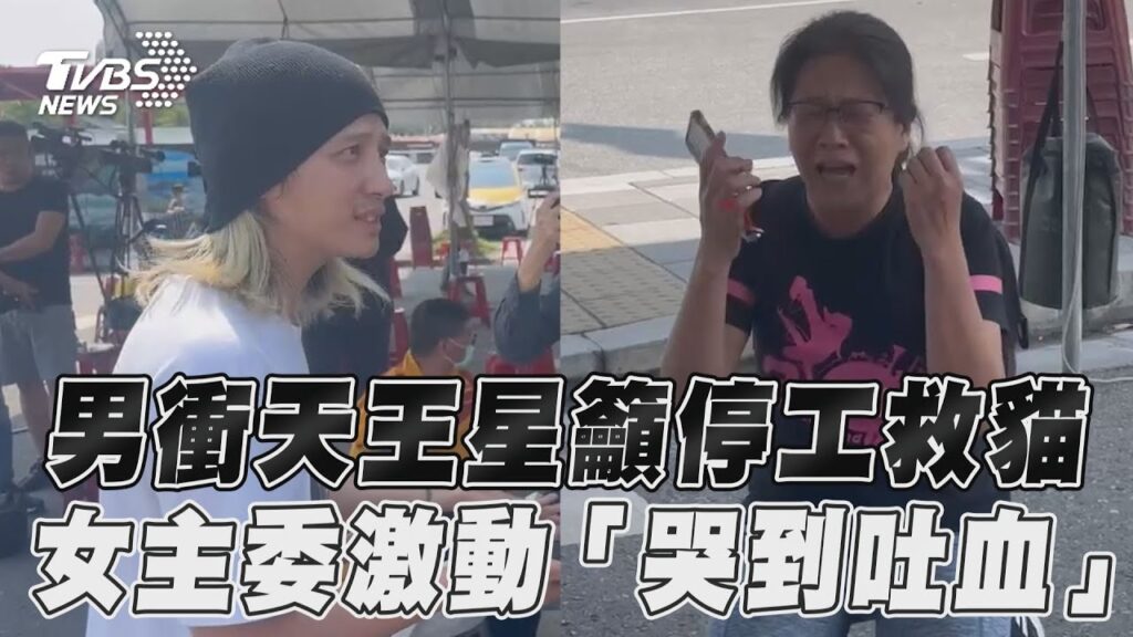 花蓮地震／男衝天王星籲停工救貓　女主委激動「哭到吐血」｜TVBS新聞