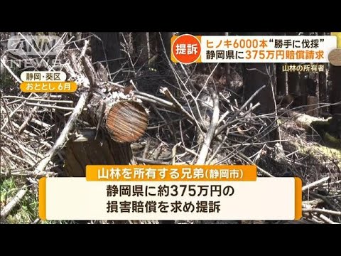 ヒノキ6000本“勝手に伐採” 静岡県に375万円の賠償請求 山林の所有者が提訴【もっと知りたい!】【グッド!モーニング】(2024年4月12日) ヒノキ6000本“勝手に伐採” 静岡県に375万円の賠償請求 山林の所有者が提訴【もっと知りたい!】【グッド!モーニング】(2024年4月12日)