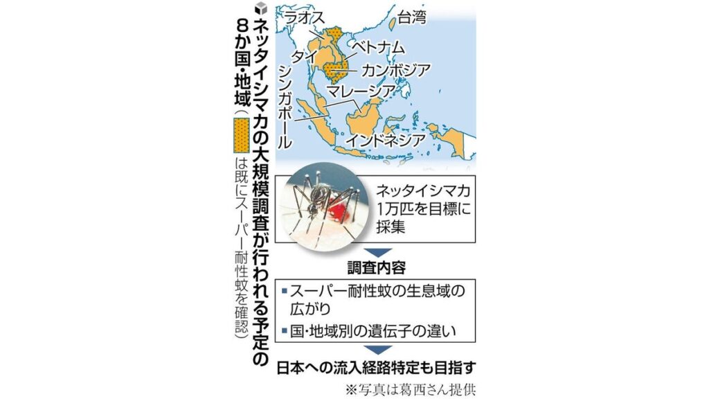 [科学・ＩＴ] 殺虫剤に強い個体がある「ネッタイシマカ」水際対策へ…感染症研、遺伝子解析し越境ルート特定図る