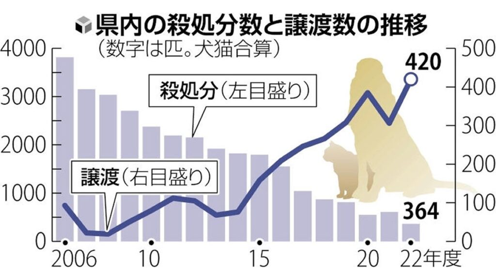 [ニュース] 犬猫の殺処分数は４０００匹から３５０匹に…大幅減実現した奈良県、さらなる対策へ