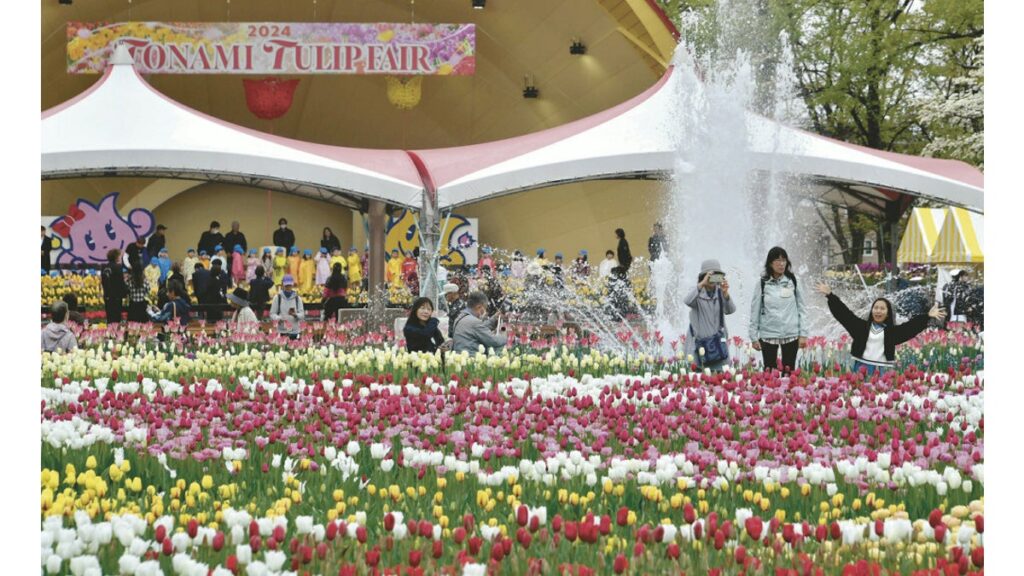 [社会] ３００品種３００万本の花が彩る「２０２４となみチューリップフェア」開幕