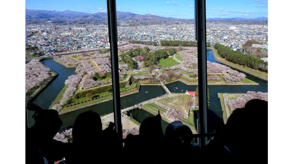 [PHOTO 北海道] 満開 １００万ドルの美景