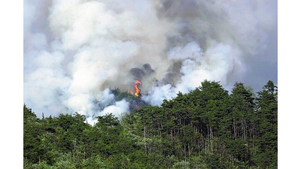 [ニュース] 林野火災「警報」３度目延長