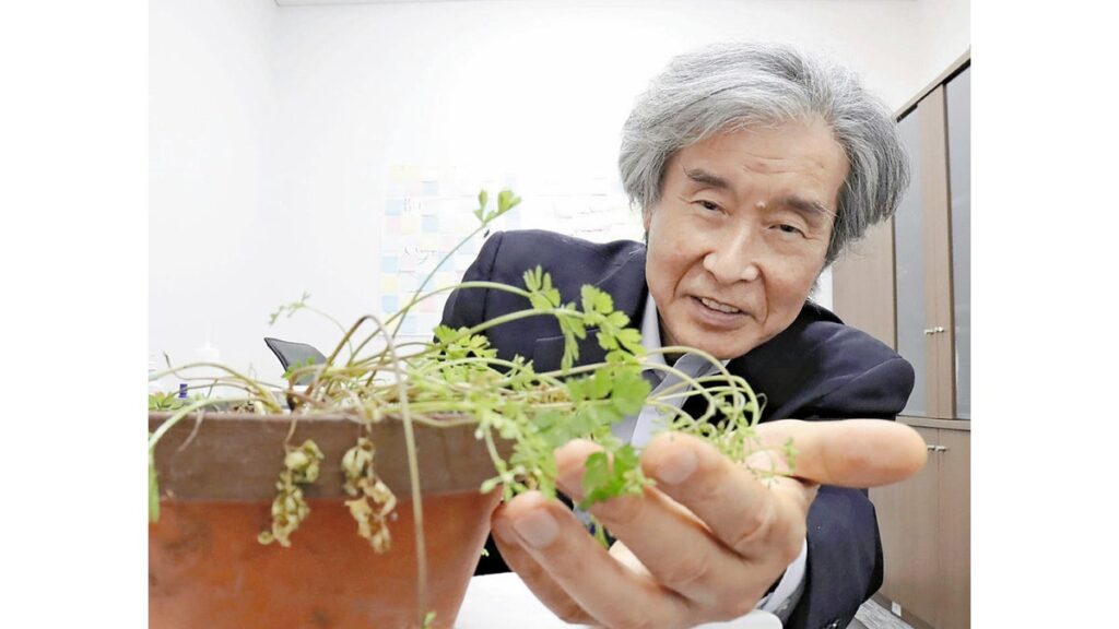 [ニュース] ６０年にわたり未知の植物を追究してきた福岡市科学館長が解説する「新種発見の心得」