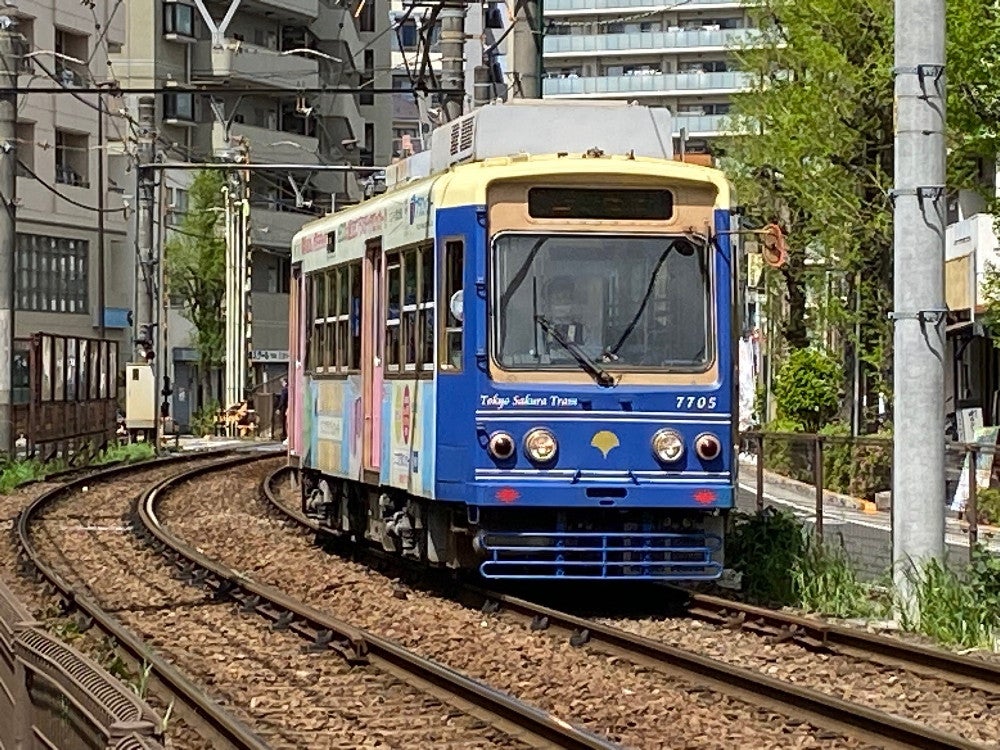 東京に残る唯一の都電、荒川線（東京さくらトラム）はこれからの時期、沿線に咲き誇る花々を見るのも楽しい。三ノ輪橋～早稲田間の１２キロ余を１時間弱でゆったりと結ぶ