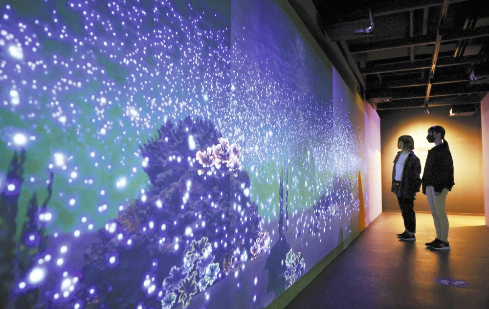 淡路島の海中を再現したウミホタルの３Ｄデジタルアート（兵庫県南あわじ市の「うずの丘大鳴戸橋記念館」で）＝泉祥平撮影