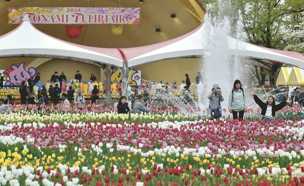 色とりどりのチューリップを楽しむ観光客ら（２３日午前、富山県砺波市で）＝細野登撮影