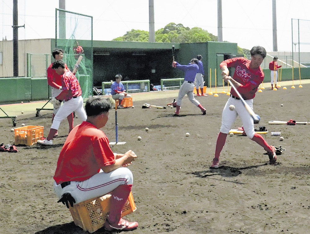 九州地区予選に向け打撃練習で汗を流す選手たち（１９日、宮崎市で）