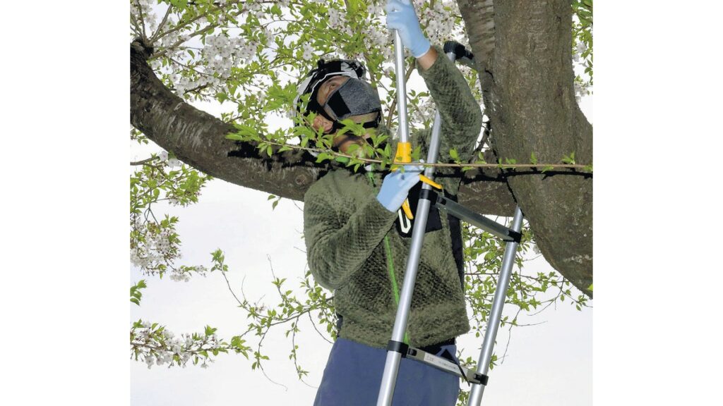[社会] 停電の原因になる電柱のカラスの巣、電力会社が撤去に追われる…ひなが生まれると攻撃的に
