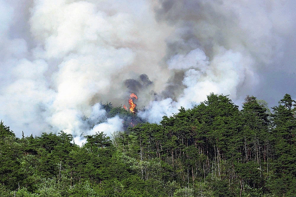 高畠町安久津で発生した林野火災の現場（２８日午後４時４０分、高畠町時沢で）＝岩峪諒撮影