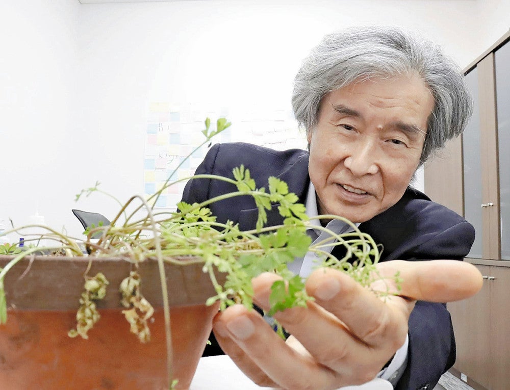 自ら名付けた「ツクシセントウソウ」について解説する矢原さん