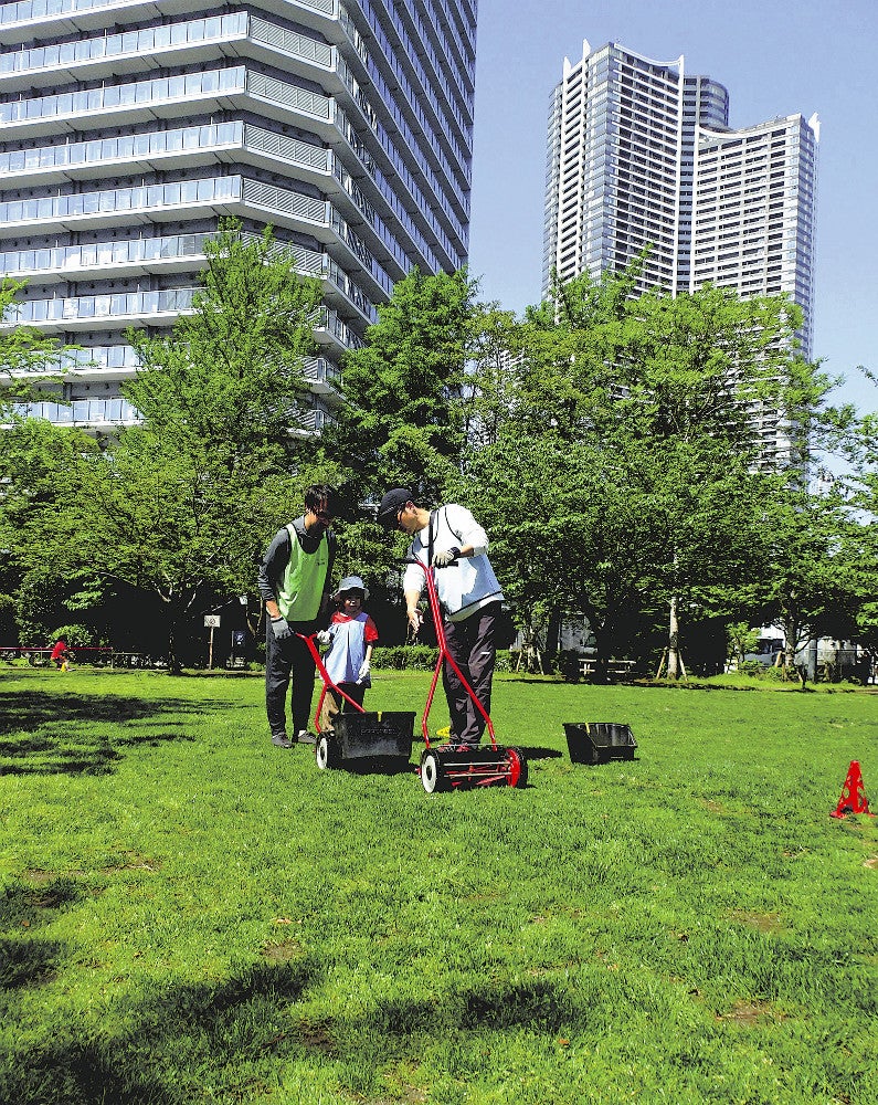芝の整備をするボランティア（４月２８日、中央区晴海で）