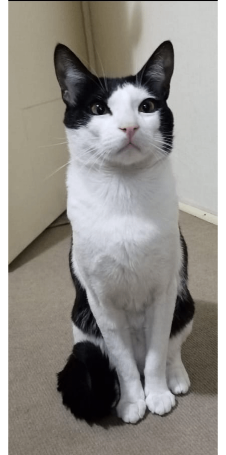 右