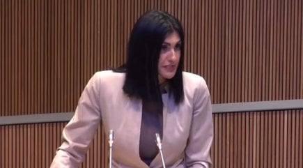モンタネールは新しい住宅法を憲法裁判所に持ち込むためにPSまたはコンコルディアの支援を必要としている